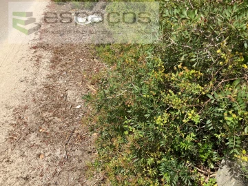 Terreno para Venda em Fernao Ferro