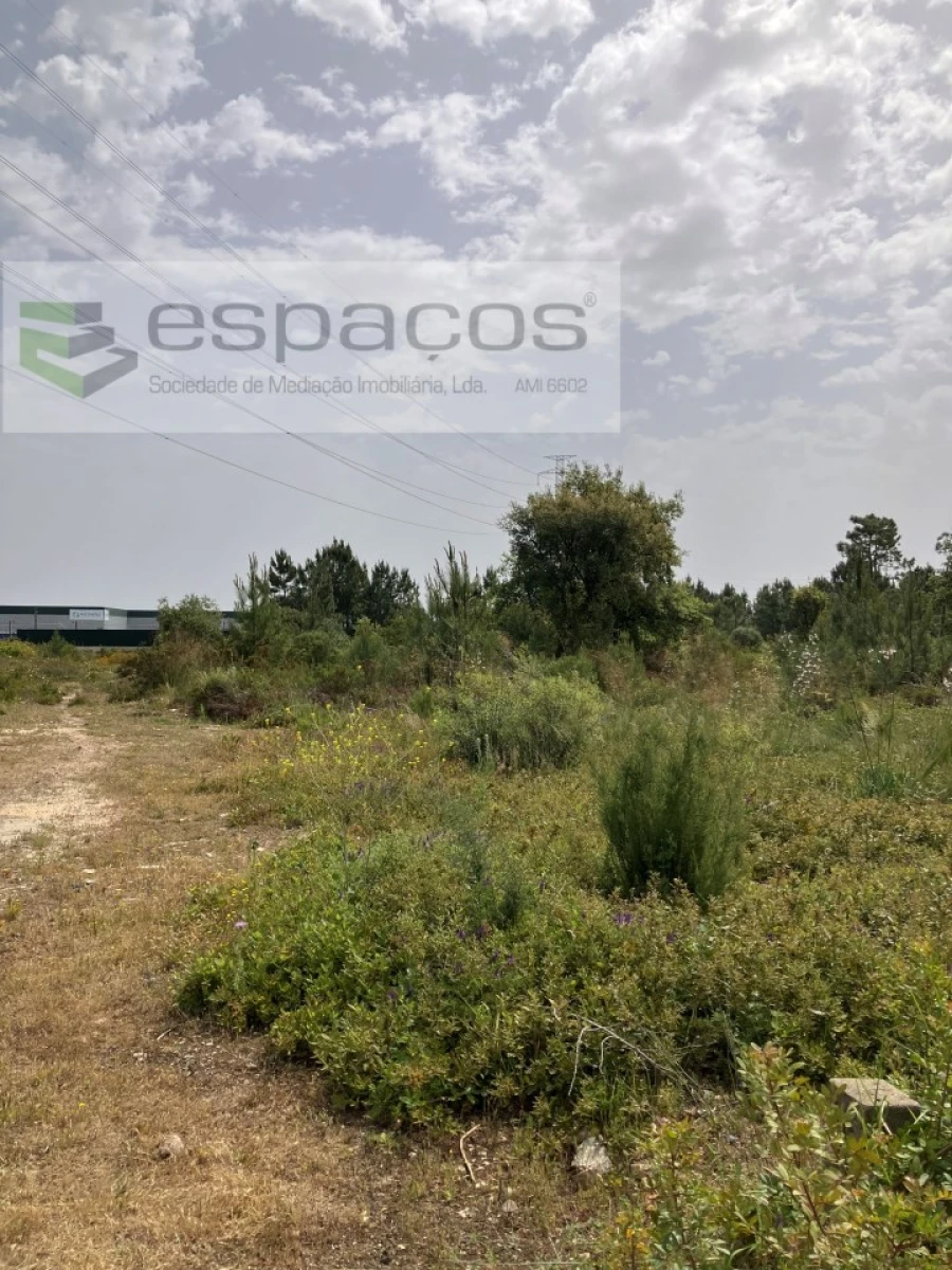 Terreno para Venda em Fernao Ferro Foto 4