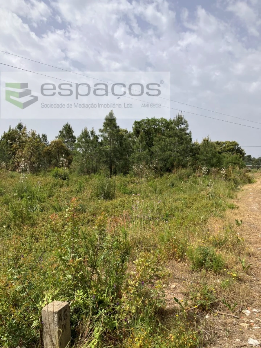 Terreno para Venda em Fernao Ferro Foto 5
