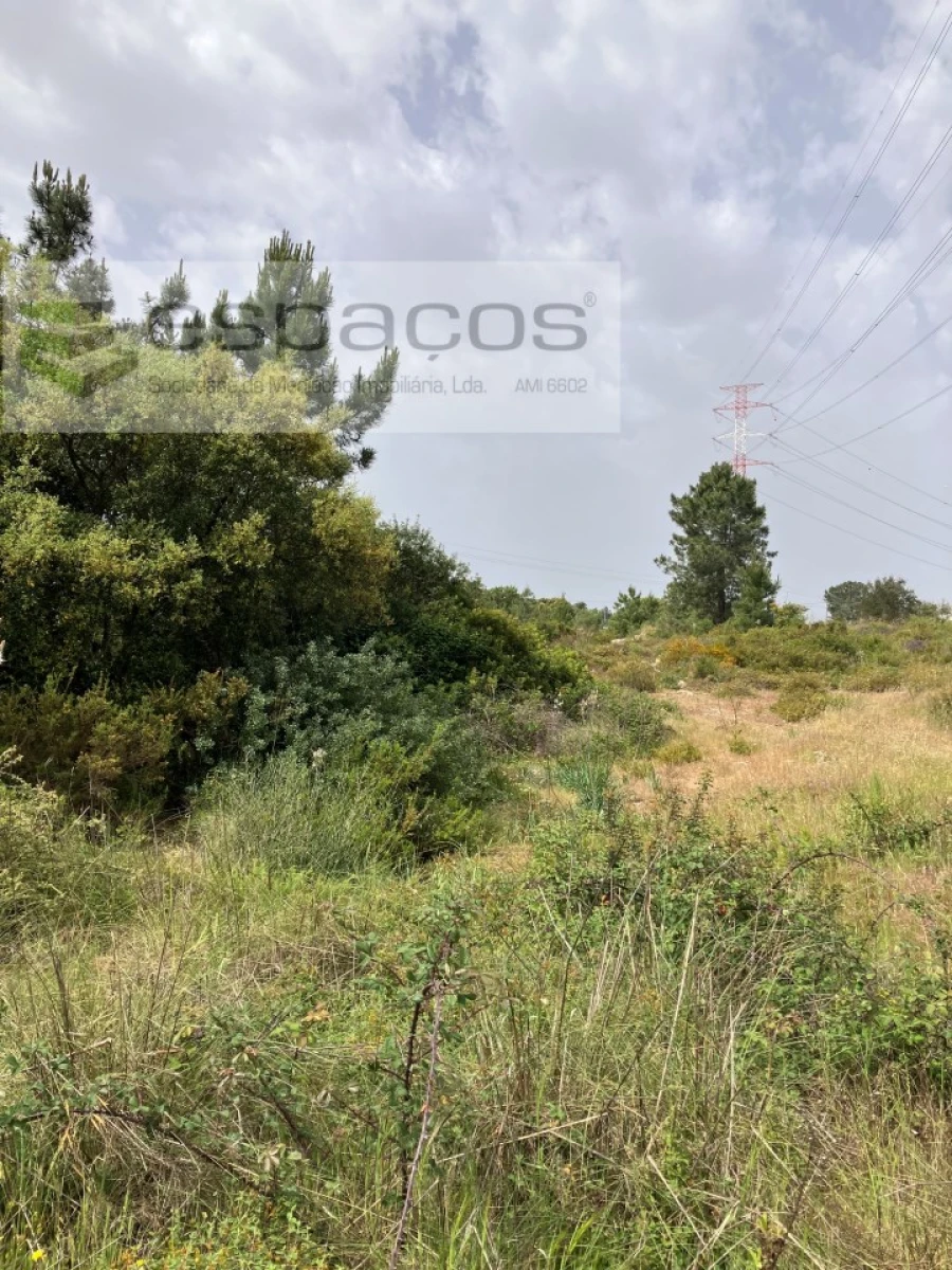 Terreno para Venda em Fernao Ferro Foto 11