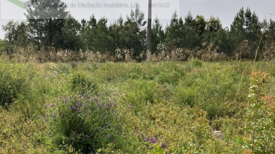 Terreno para Venda em Fernao Ferro