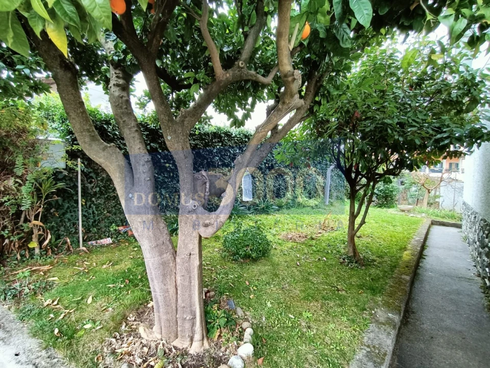 Moradia T3 para Venda em Mondrões Foto 3