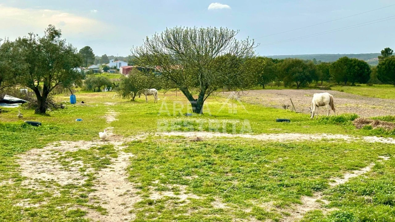 Moradia T4 para Venda em Coruche, Fajarda e Erra Foto 6