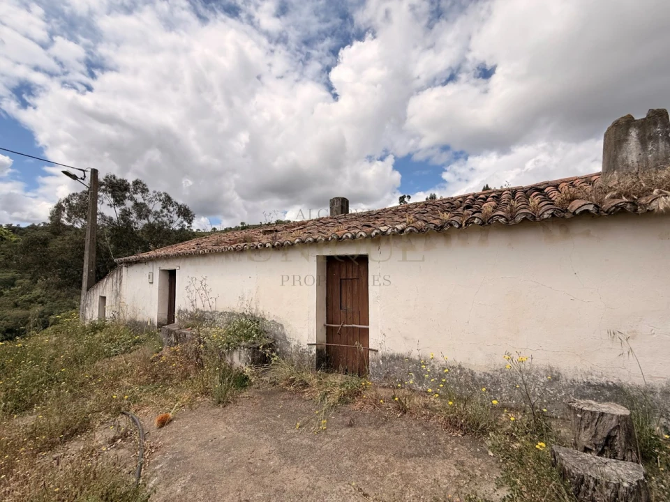 Terreno para Venda em São Salvador e Santa Maria Foto 3