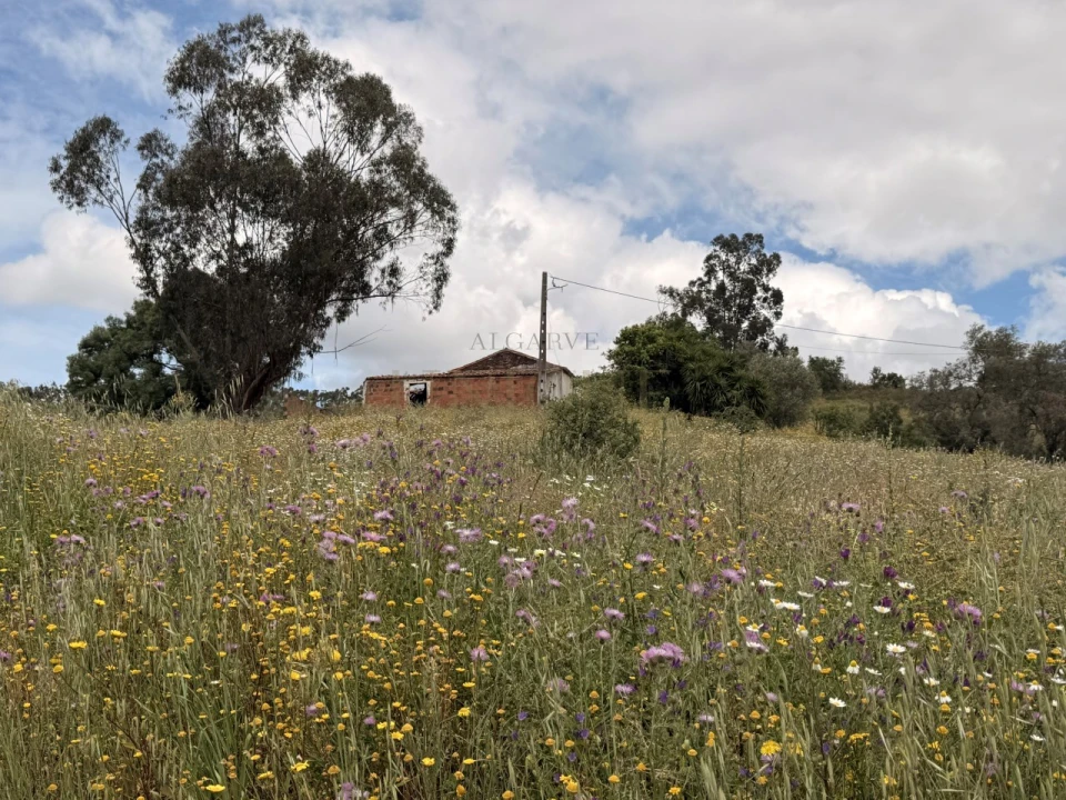 Terreno para Venda em São Salvador e Santa Maria Foto 4