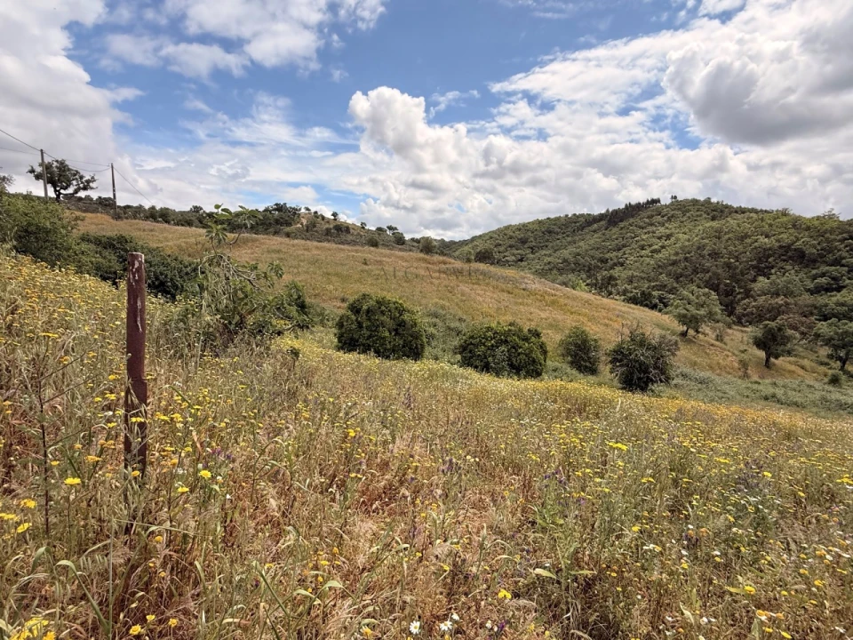 Terreno para Venda em São Salvador e Santa Maria Foto 5