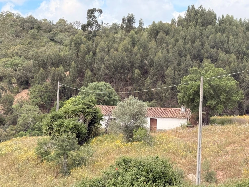 Terreno para Venda em São Salvador e Santa Maria Foto 16