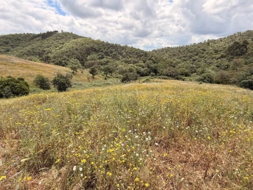 Terreno para Venda em São Salvador e Santa Maria
