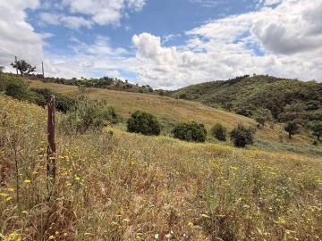 Terreno para Venda em São Salvador e Santa Maria