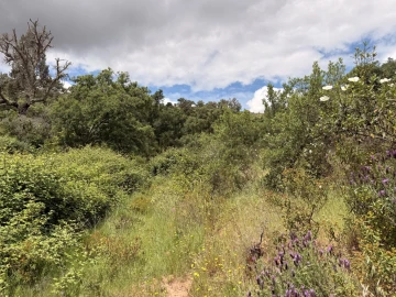 Terreno para Venda em São Salvador e Santa Maria