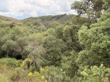 Terreno para Venda em São Salvador e Santa Maria