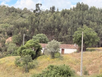 Terreno para Venda em São Salvador e Santa Maria