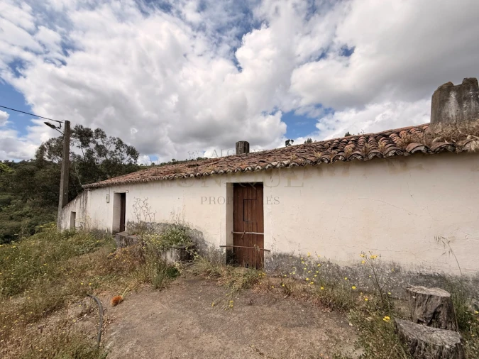 Terreno para Venda em São Salvador e Santa Maria Foto 3