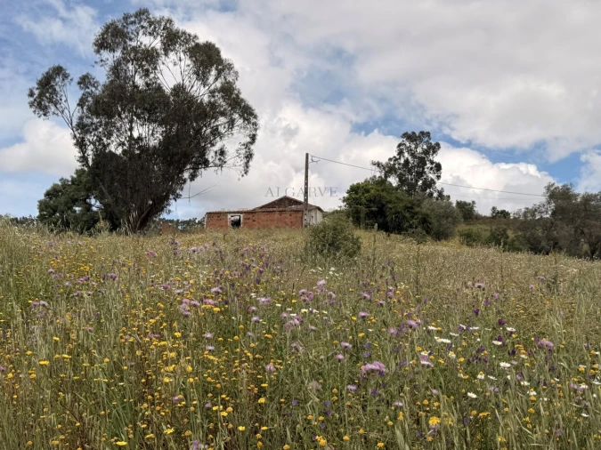 Terreno para Venda em São Salvador e Santa Maria Foto 4