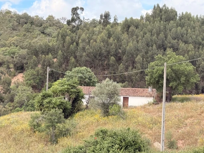 Terreno para Venda em São Salvador e Santa Maria Foto 16