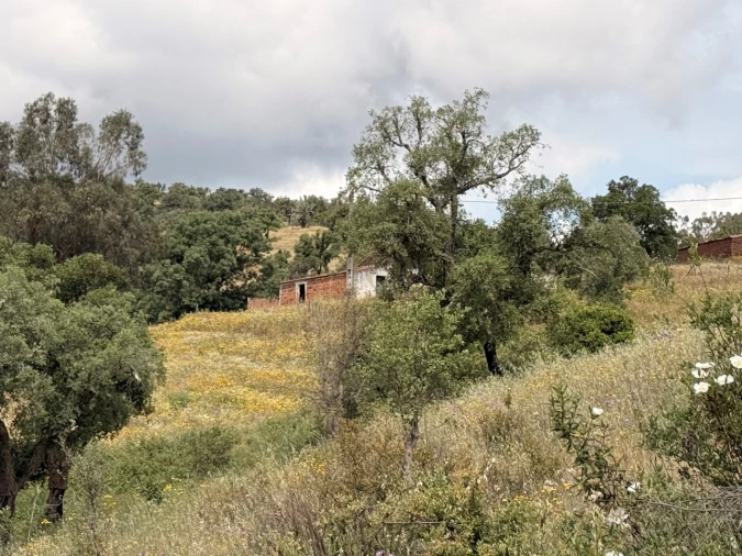 Terreno para Venda em São Salvador e Santa Maria Foto 18