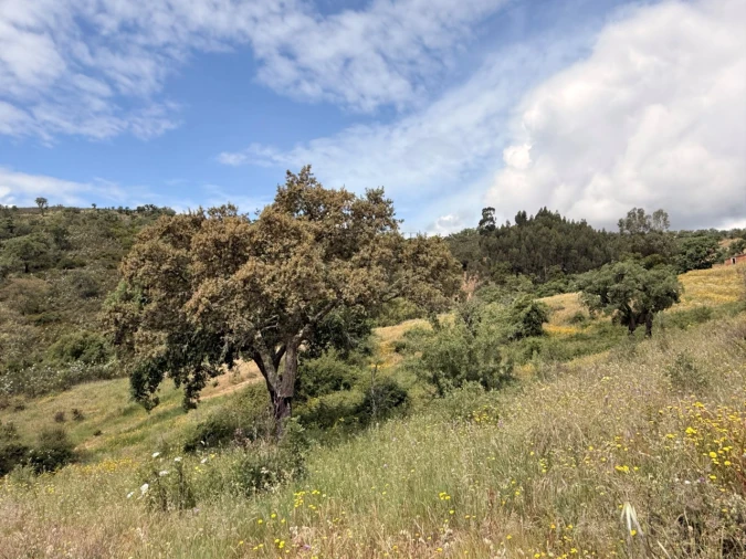 Terreno para Venda em São Salvador e Santa Maria Foto 19