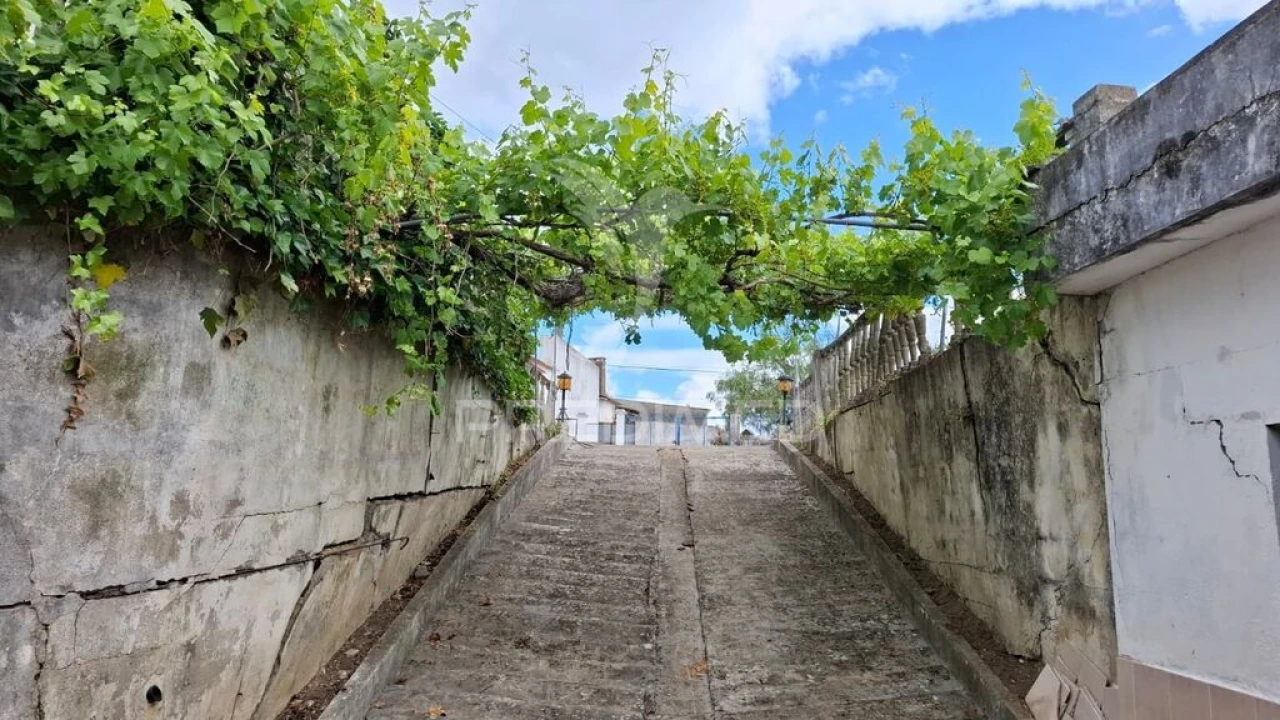 Terreno para Venda em Arneiro das Milhariças Foto 12