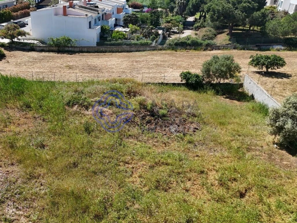 Terreno para Venda em Montenegro Foto 9