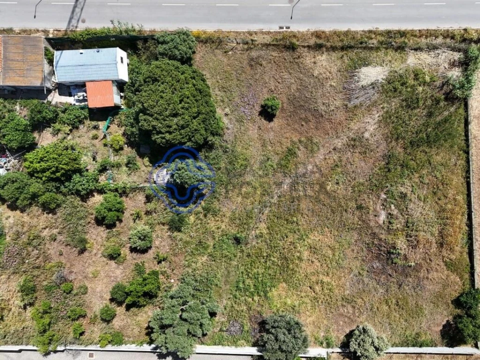 Terreno para Venda em Montenegro Foto 6