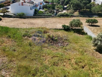 Terreno para Venda em Montenegro