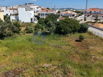 Terreno para Venda em Montenegro