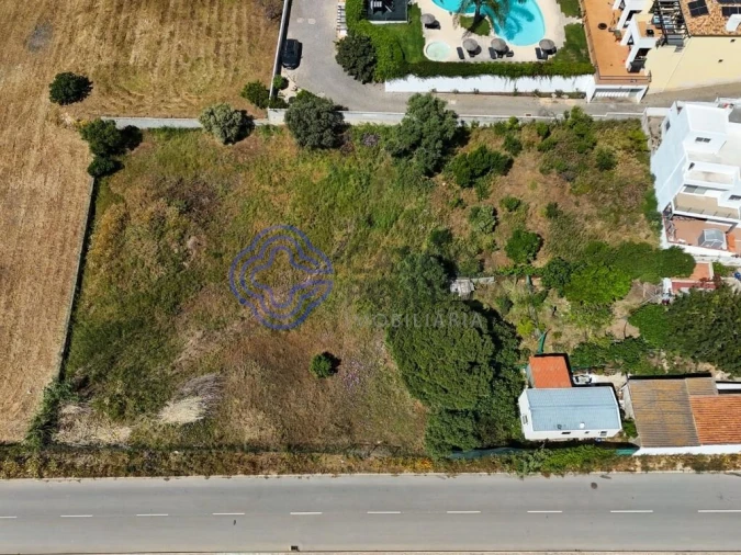 Terreno para Venda em Montenegro Foto 19