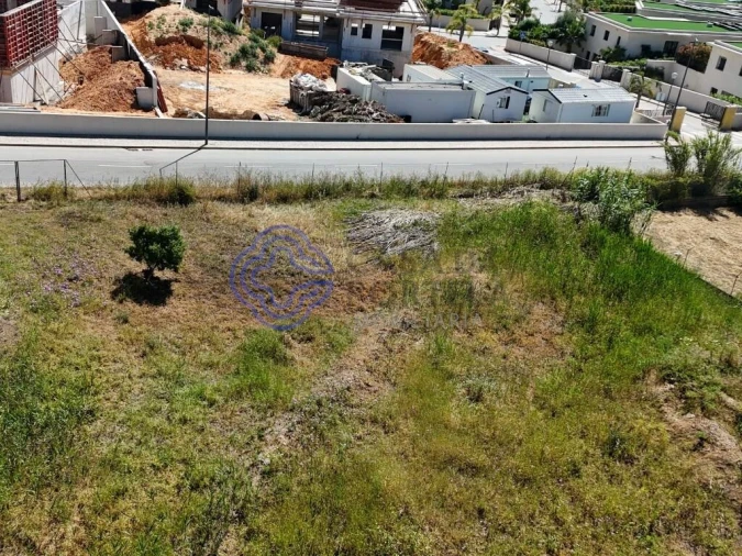 Terreno para Venda em Montenegro Foto 8