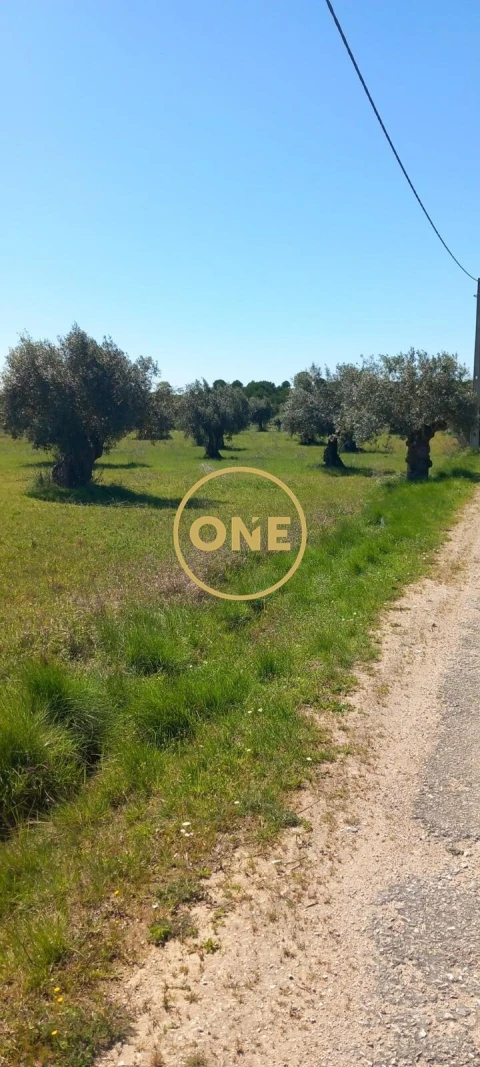 Terreno para Venda em Olaia e Paço