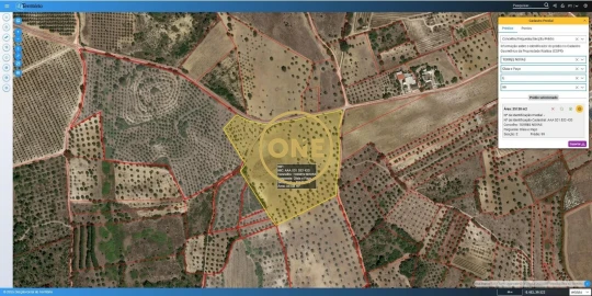 Terreno para Venda em Olaia e Paço