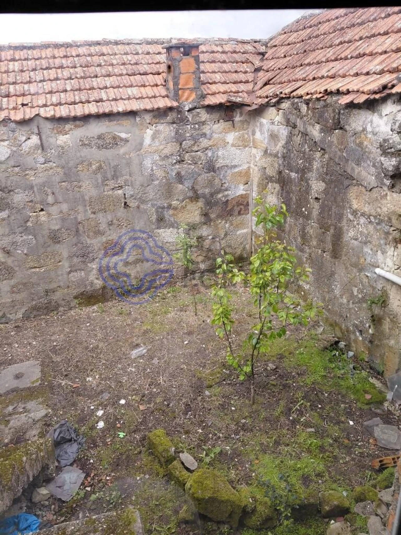 Prédio para Venda em Gondomar (São Cosme), Valbom e Jovim Foto 21