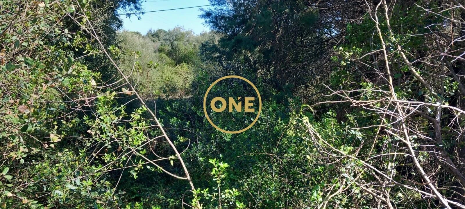 Terreno para Venda em Olaia e Paço Foto 19