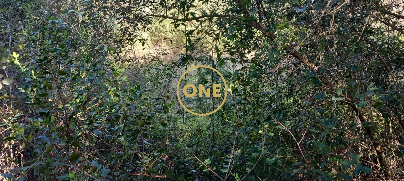 Terreno para Venda em Olaia e Paço Foto 18