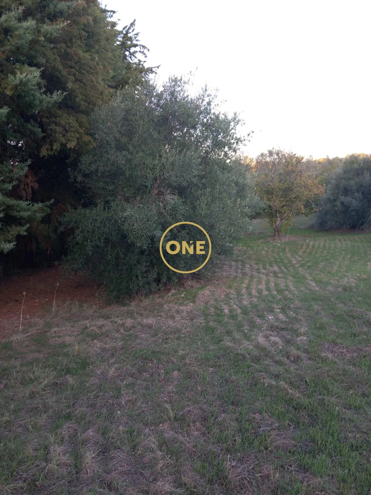 Terreno para Venda em Olaia e Paço Foto 8