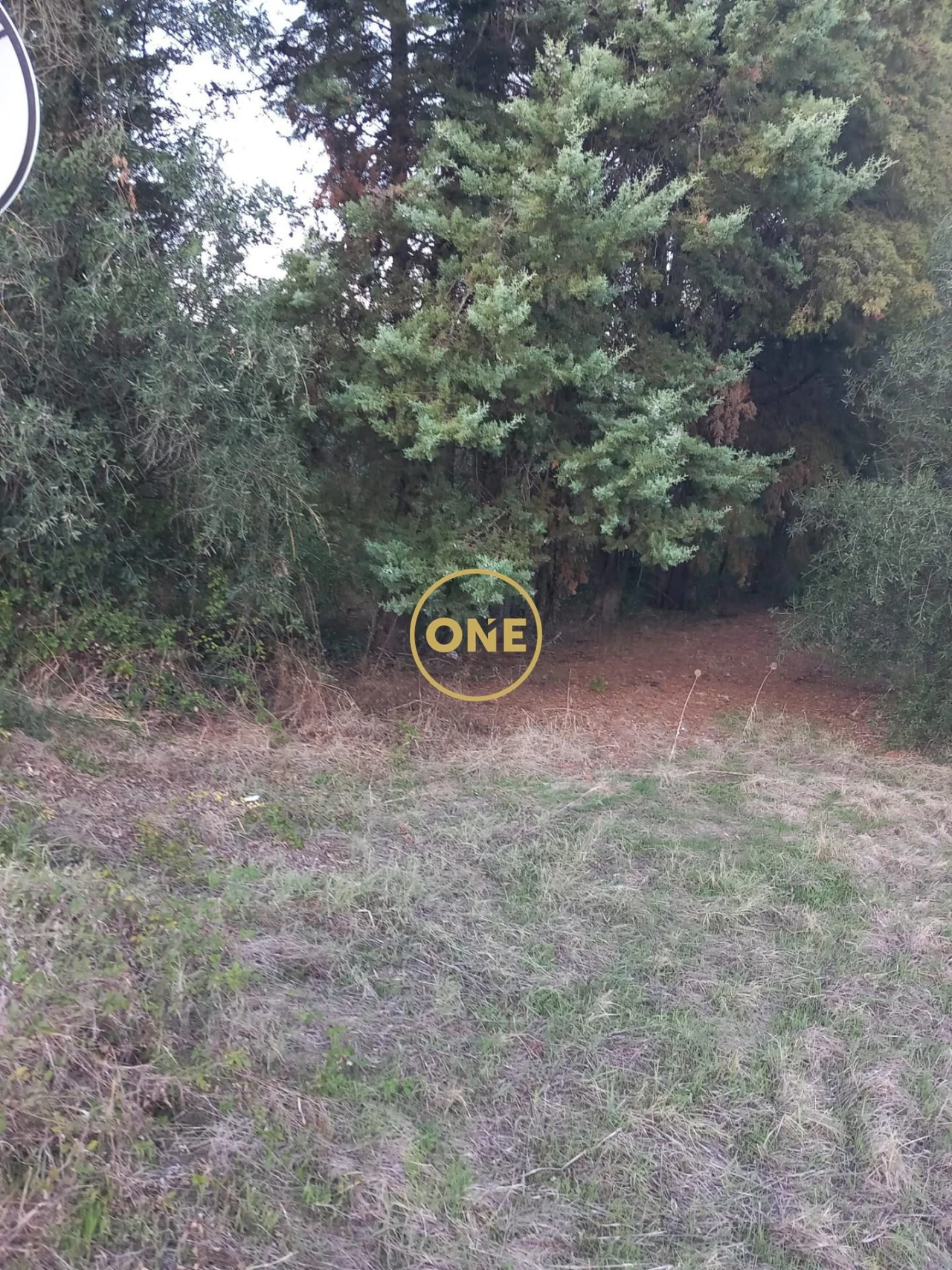 Terreno para Venda em Olaia e Paço Foto 9