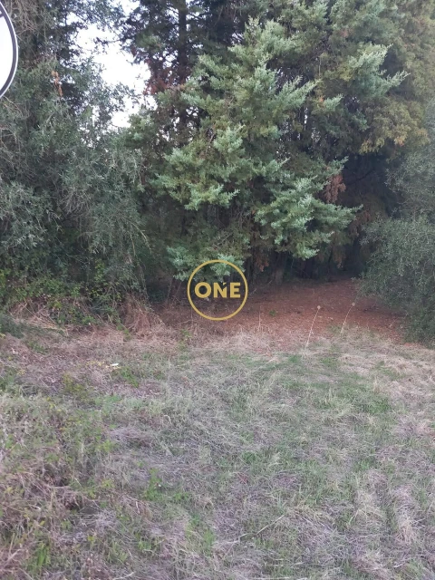 Terreno para Venda em Olaia e Paço