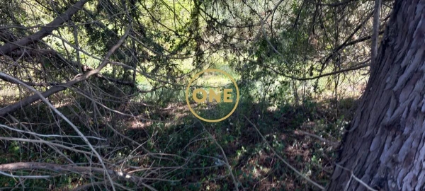 Terreno para Venda em Olaia e Paço