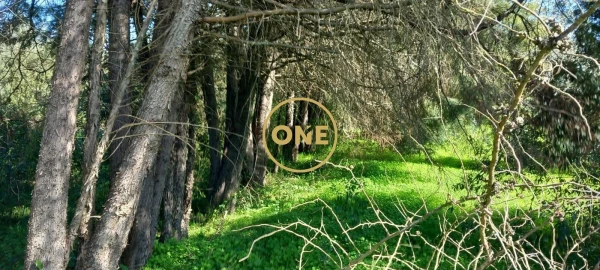 Terreno para Venda em Olaia e Paço