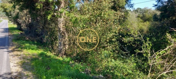 Terreno para Venda em Olaia e Paço
