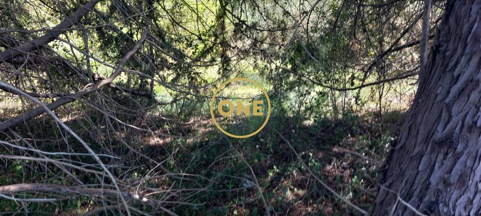 Terreno para Venda em Olaia e Paço Foto 20