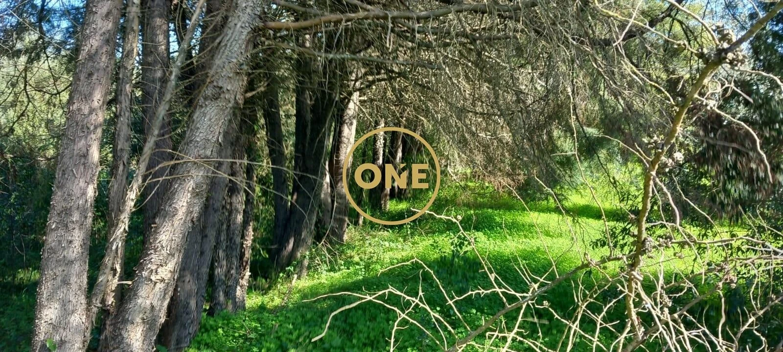 Terreno para Venda em Olaia e Paço Foto 23
