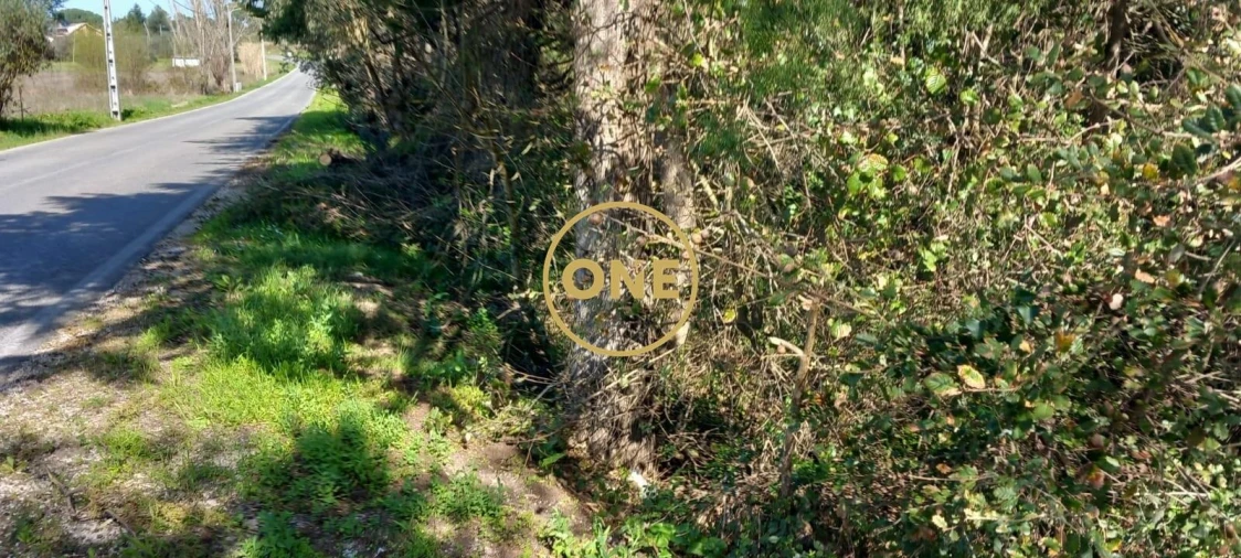 Terreno para Venda em Olaia e Paço Foto 17