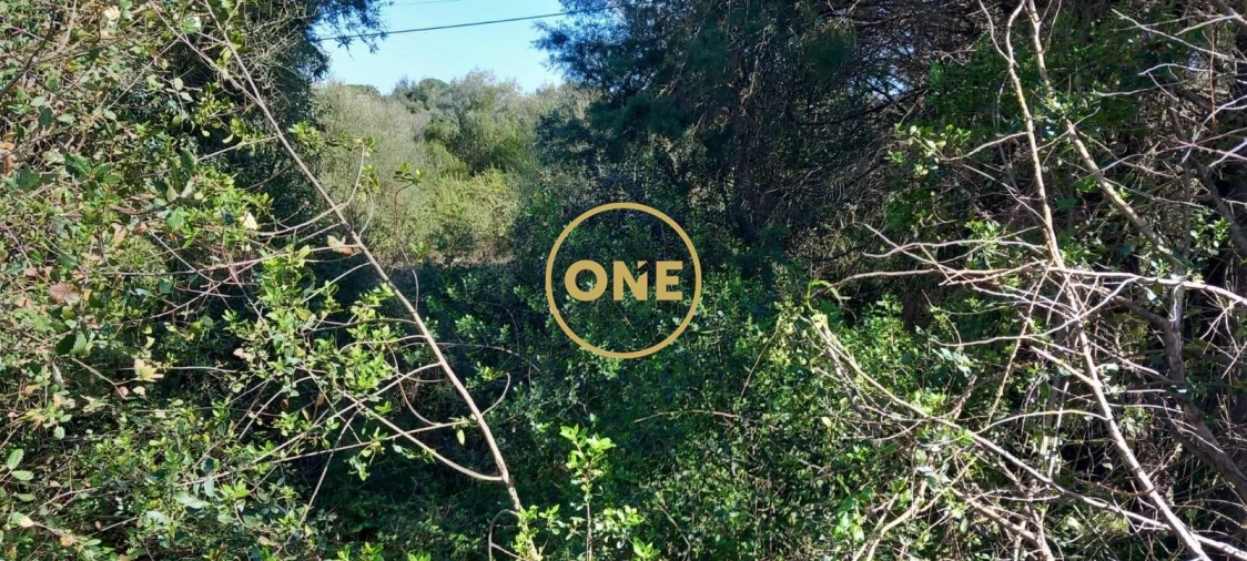 Terreno para Venda em Olaia e Paço Foto 19