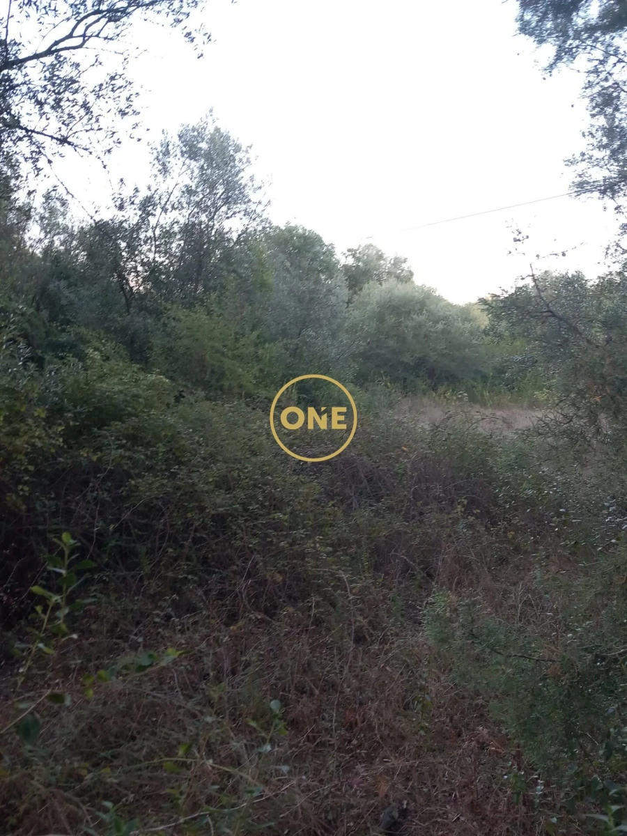 Terreno para Venda em Olaia e Paço Foto 4