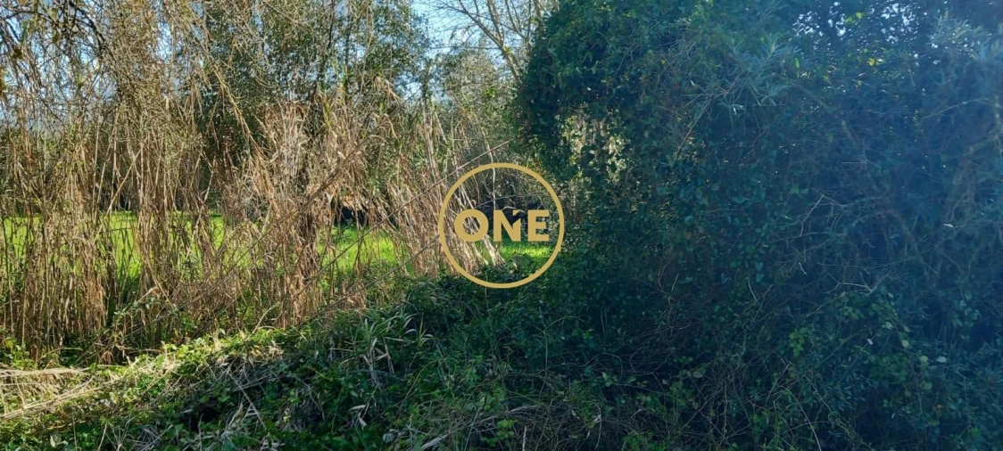 Terreno para Venda em Olaia e Paço Foto 16