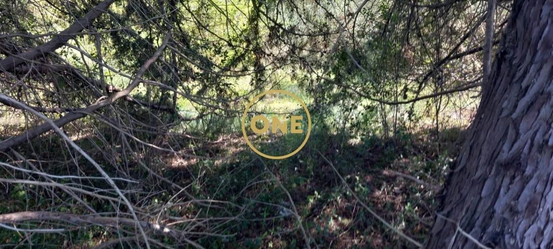 Terreno para Venda em Olaia e Paço Foto 20
