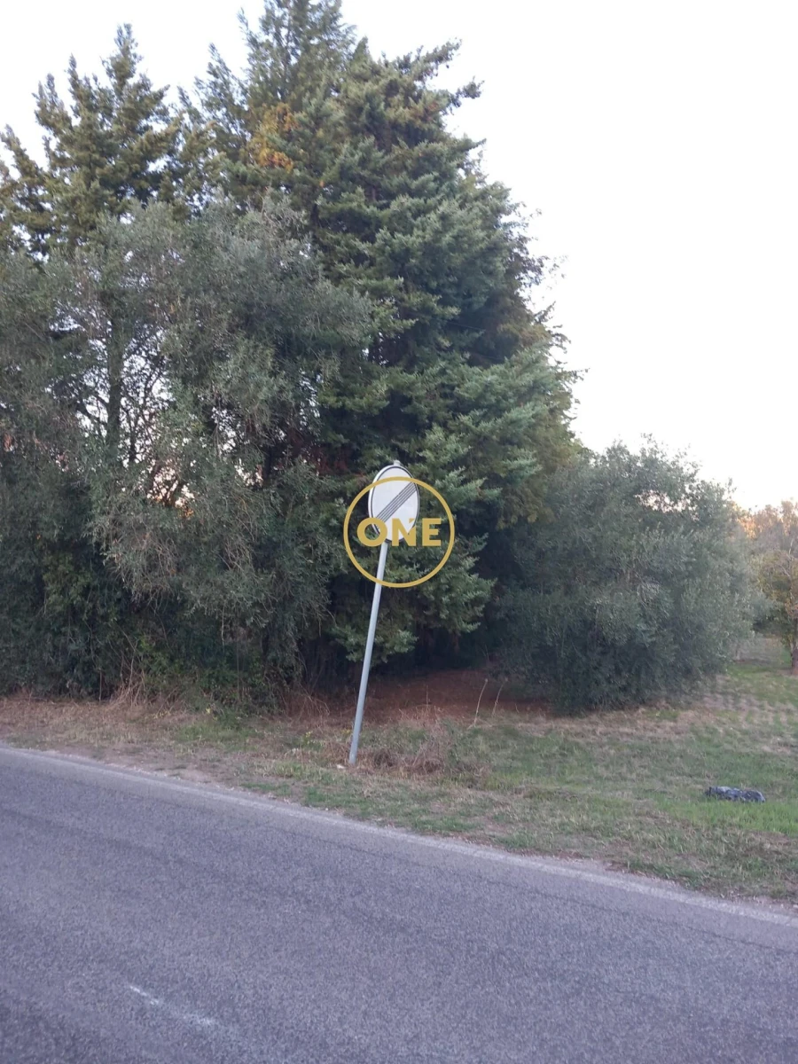 Terreno para Venda em Olaia e Paço Foto 12
