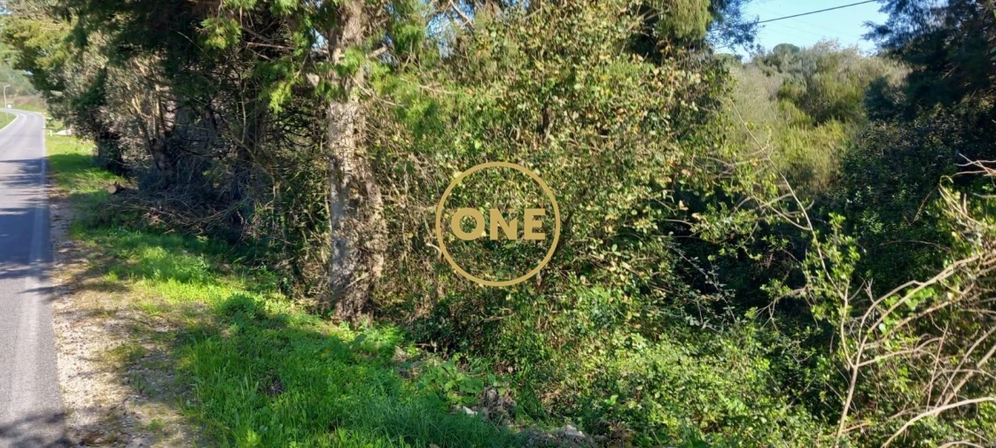 Terreno para Venda em Olaia e Paço Foto 21