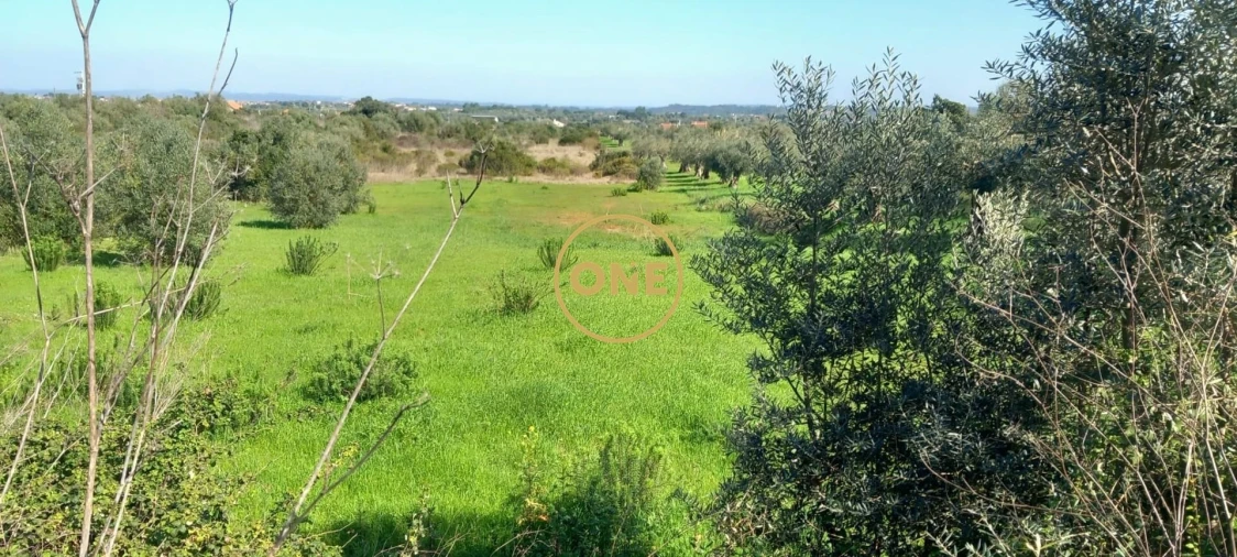 Terreno para Venda em Olaia e Paço Foto 2
