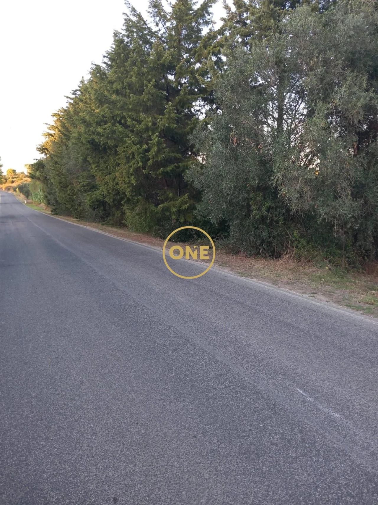 Terreno para Venda em Olaia e Paço Foto 10